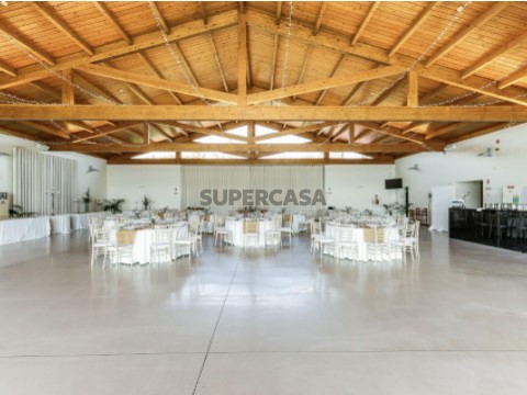 Finca 3 habitaciones en Abrantes (São Vicente e São João) e Alferrarede, Abrantes