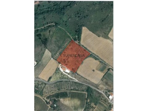 Terreno em Ribafria e Pereiro de Palhacana, Alenquer