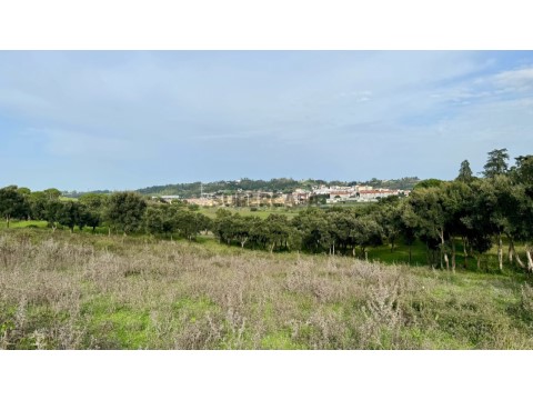 Terreno na Azambuja, Azambuja