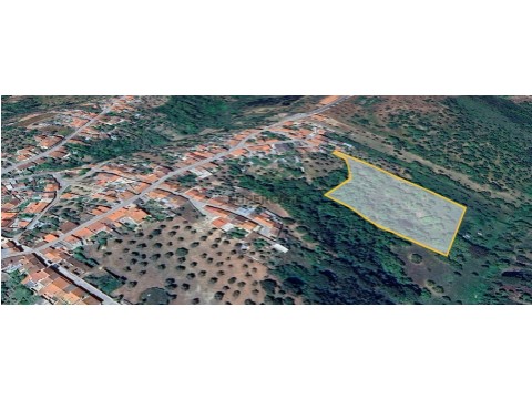 Terreno em São Miguel do Rio Torto e Rossio Ao Sul do Tejo, Abrantes