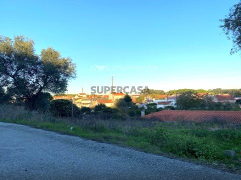 Terreno em Maceira, Leiria