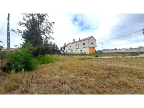 Terreno em Calvaria de Cima, Porto de Mós