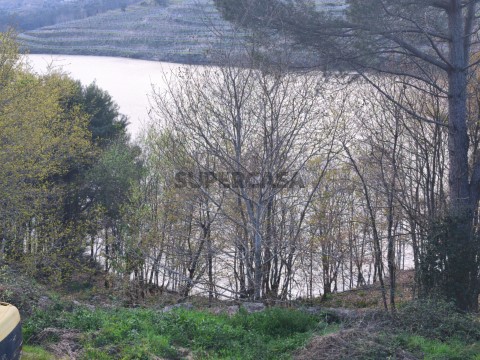 Vistas