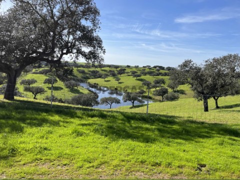Herdade de 335 hectares com grande potencial agrícola, pecuária e Turismo Rural