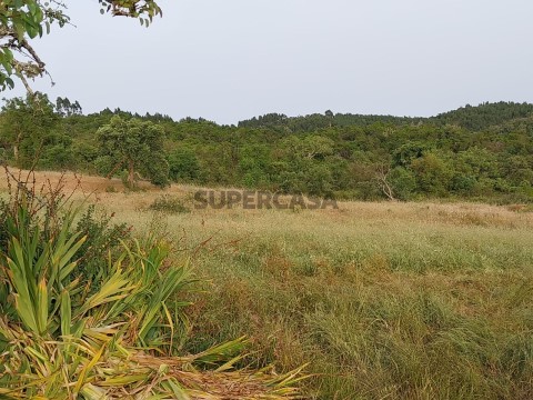 Herdade Reliquias-Odemira
