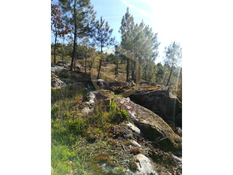 Terreno em Abraveses, Viseu