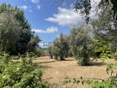 Terreno Urbano em Silgueiros, Viseu