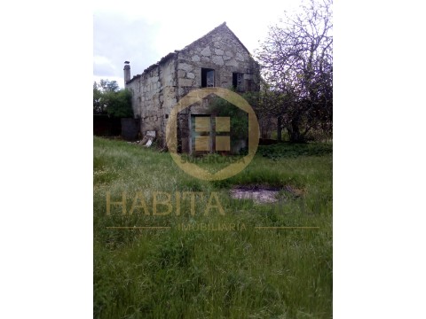 Boerderij 4 kamers Op Mangualde, Mesquitela e Cunha Alta, Mangualde