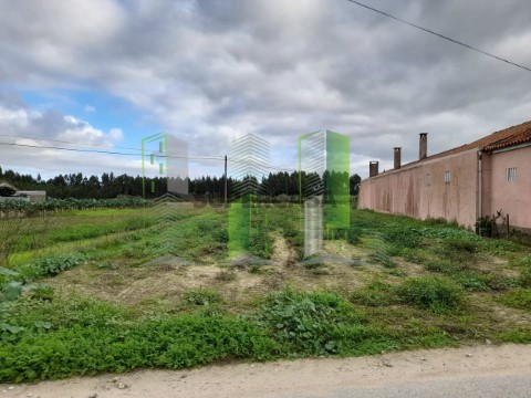 Terreno em Covões e Camarneira, Cantanhede