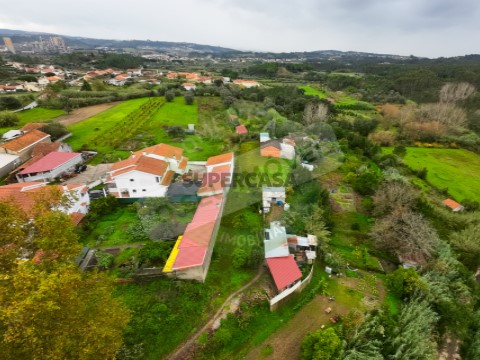 Fotos-1