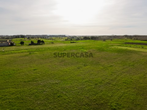 Terreno-11
