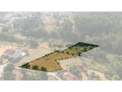 DJI_20250811094722_0187_D-Editar