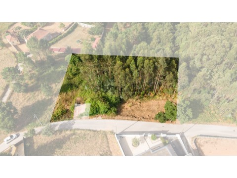 DJI_20250811095014_0197_D-Editar