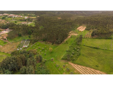 DJI_20260421150838_0569_D