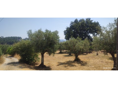 IMG_20250806_114911