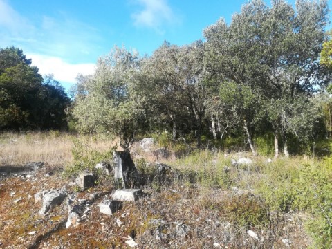 Terreno em Fátima, Ourém
