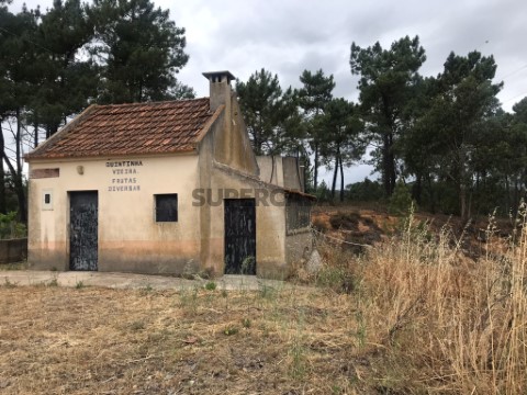 Quinta com casinha na chaceleiria - Torres Novas - cazinha