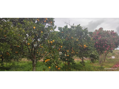 IMG_20230222_112906