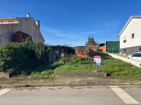 foto (1)