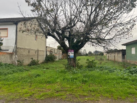 Foto (1)