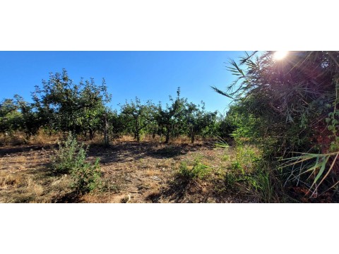 Quinta T2 em Aldeia Galega da Merceana e Aldeia Gavinha, Alenquer