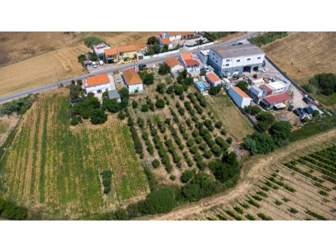 Moradia T4 em Ventosa, Torres Vedras