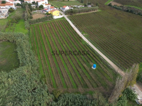 DJI_0970