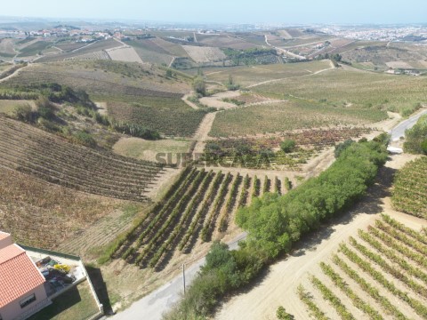 DJI_0835