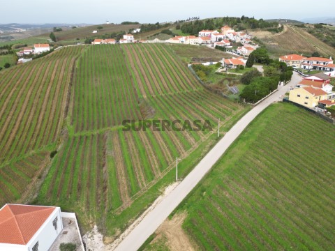 DJI_0995