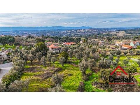 Perceel Op Silgueiros, Viseu