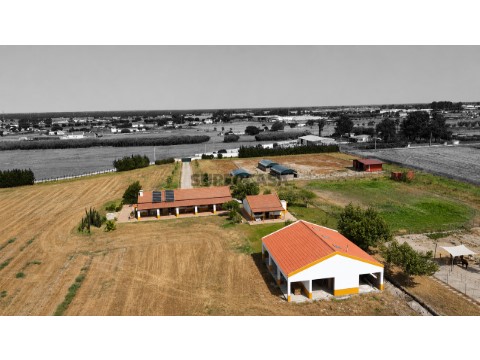 Quinta T3 em Atalaia e Alto Estanqueiro-Jardia, Montijo
