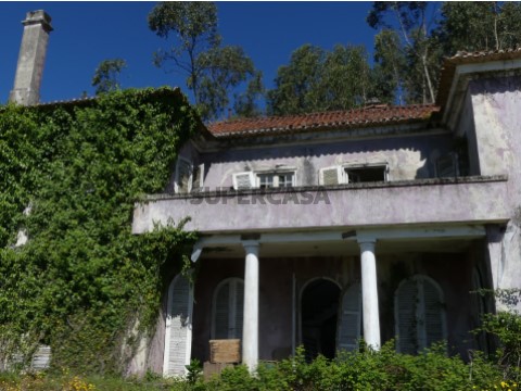 Quinta
