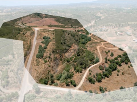 Terreno