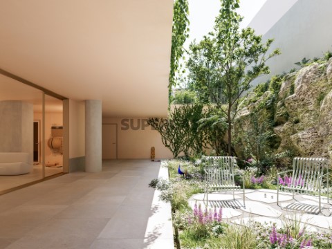 Zona Exterior Modelo Selva