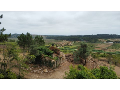 RUÏ_974_AG