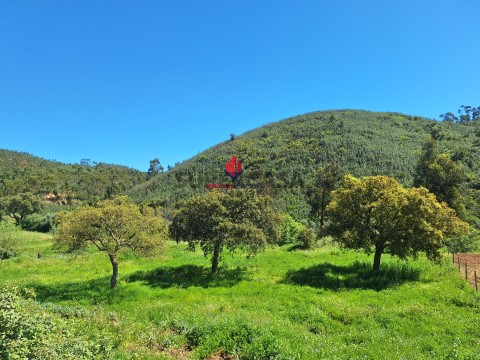 Terreno em Marmelete, Monchique