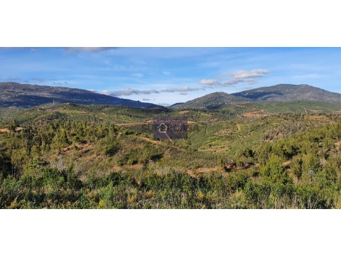 Terreno em Monchique, Monchique