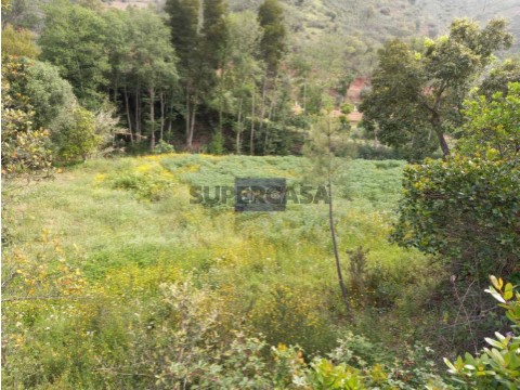 Terreno em Monchique, Monchique