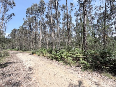 Terreno na Rua do Outeiro, Vila Cova e Feitos