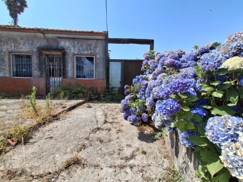 Maison 1 Chambre au Nogueira da Regedoura, Santa Maria da Feira