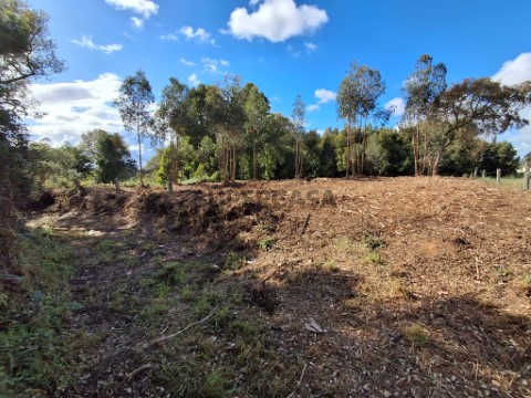 Terreno Rustico com 2.100m2 - São Paio de Oleiros