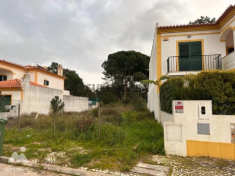 Lote em Azeitão (São Lourenço e São Simão), Setúbal