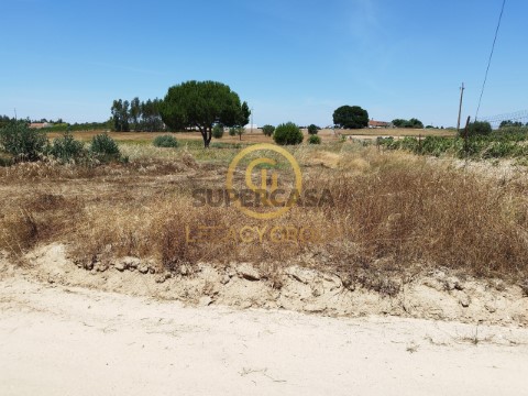 Terreno em Branca, Coruche