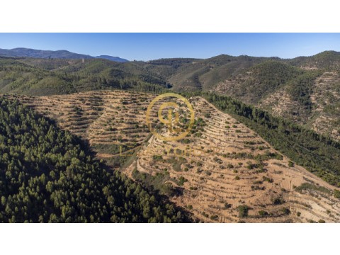 Terreno em Alferce, Monchique