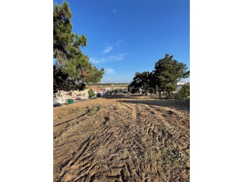 Foto terreno 3