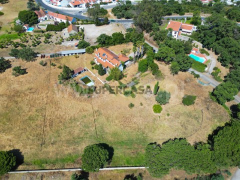 DJI_0959