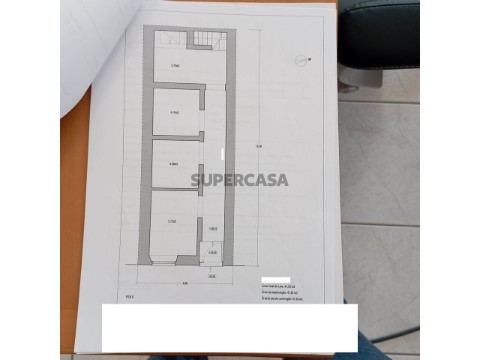 Planta