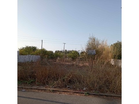 lote1