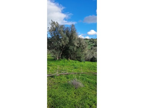 Terreno Misto em Ferragudo, Lagoa