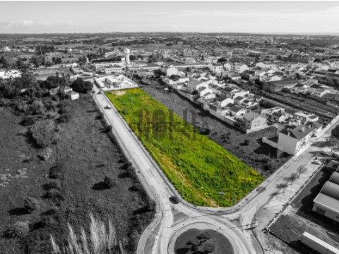 Terreno Urbano em Cartaxo e Vale da Pinta, Cartaxo